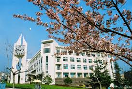 Qingdao University